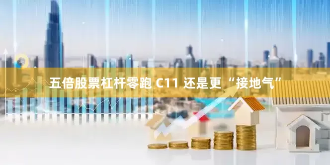 五倍股票杠杆零跑 C11 还是更 “接地气”