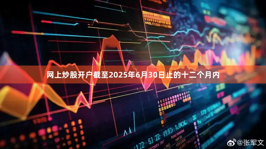 网上炒股开户截至2025年6月30日止的十二个月内