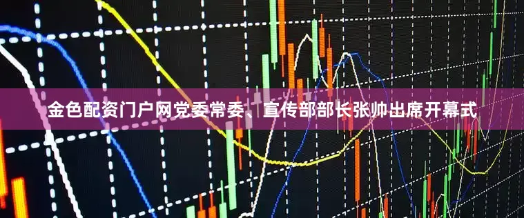金色配资门户网党委常委、宣传部部长张帅出席开幕式