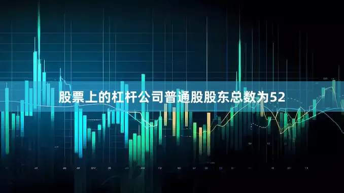 股票上的杠杆公司普通股股东总数为52